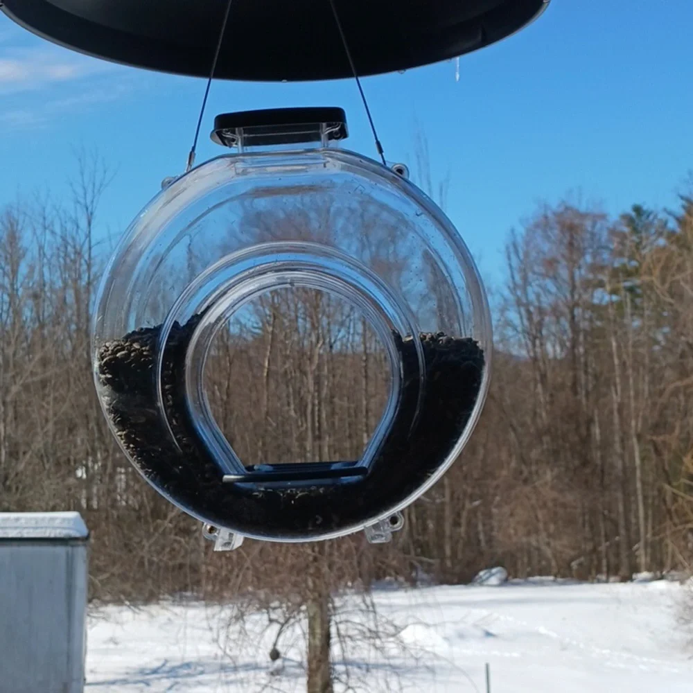 Transparent Hanging Bird Feeder